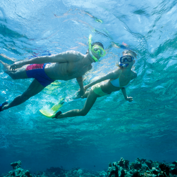 Snorkeling Grand Slam Ascension Bay Mexico