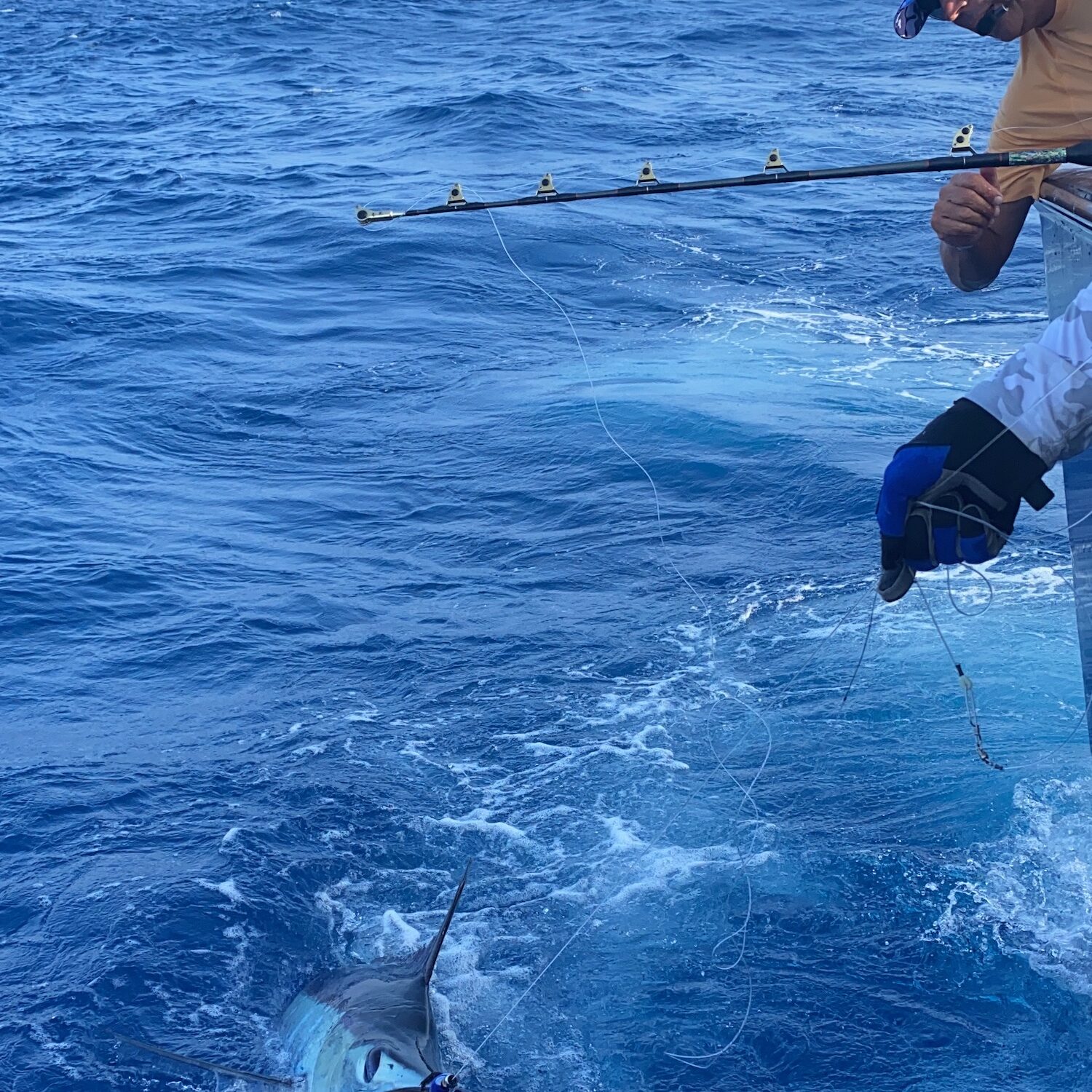 blue marlin fishing cap cana